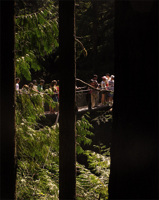 Crowds on the suspension bridge at Lynn Canyon on Vancouver's North Shore