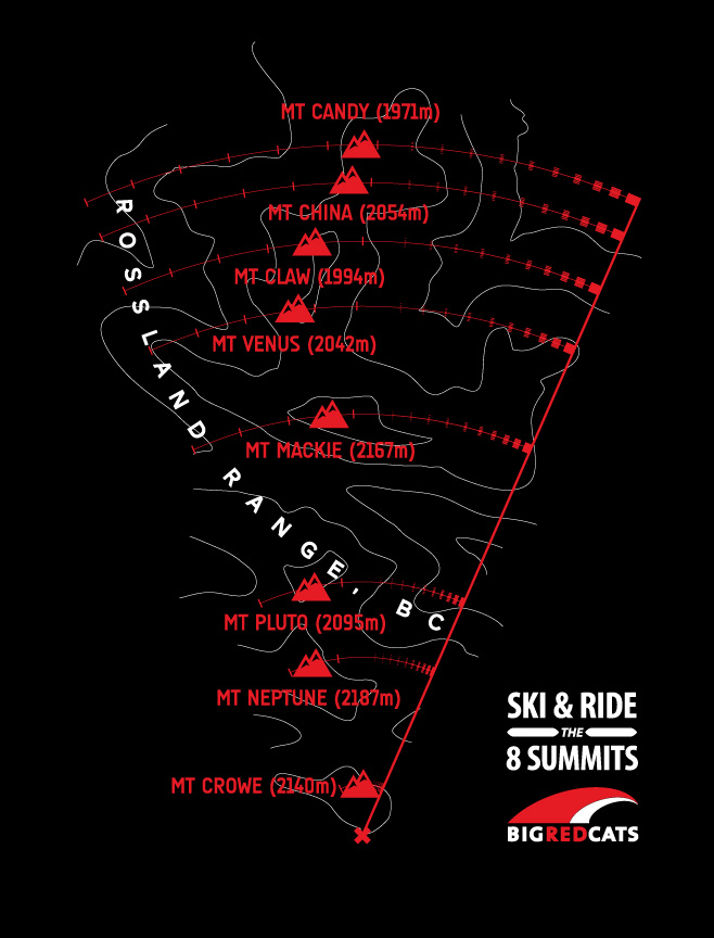 Big Red Cats t-shirt illustration