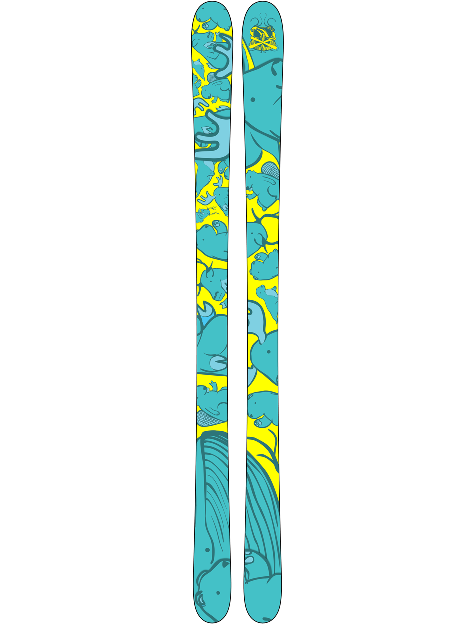Entry to TJ Schiller ski design competition